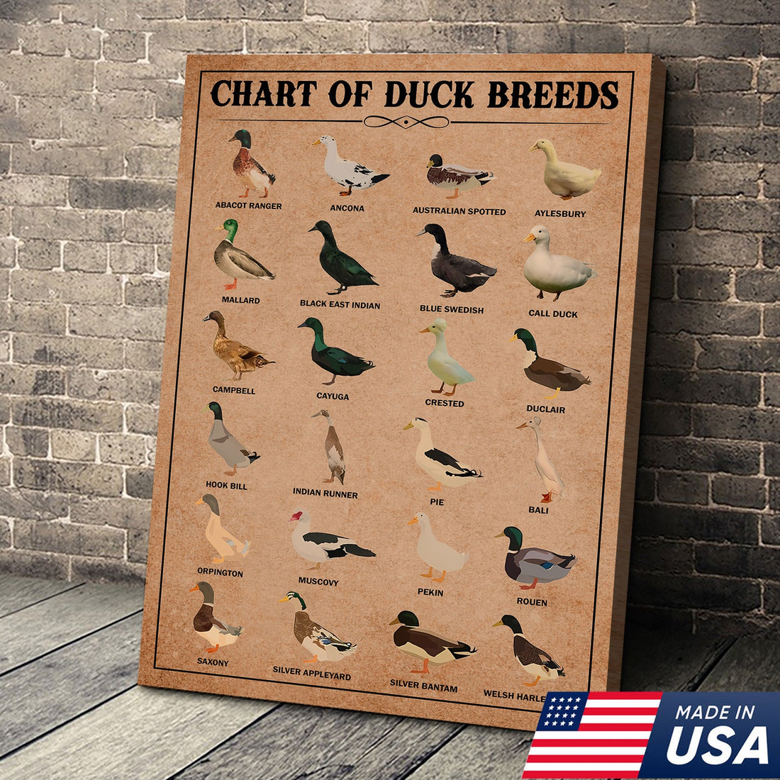 Duck Breed Chart Wall Art – Educational Farmhouse Rustic Canvas Decor