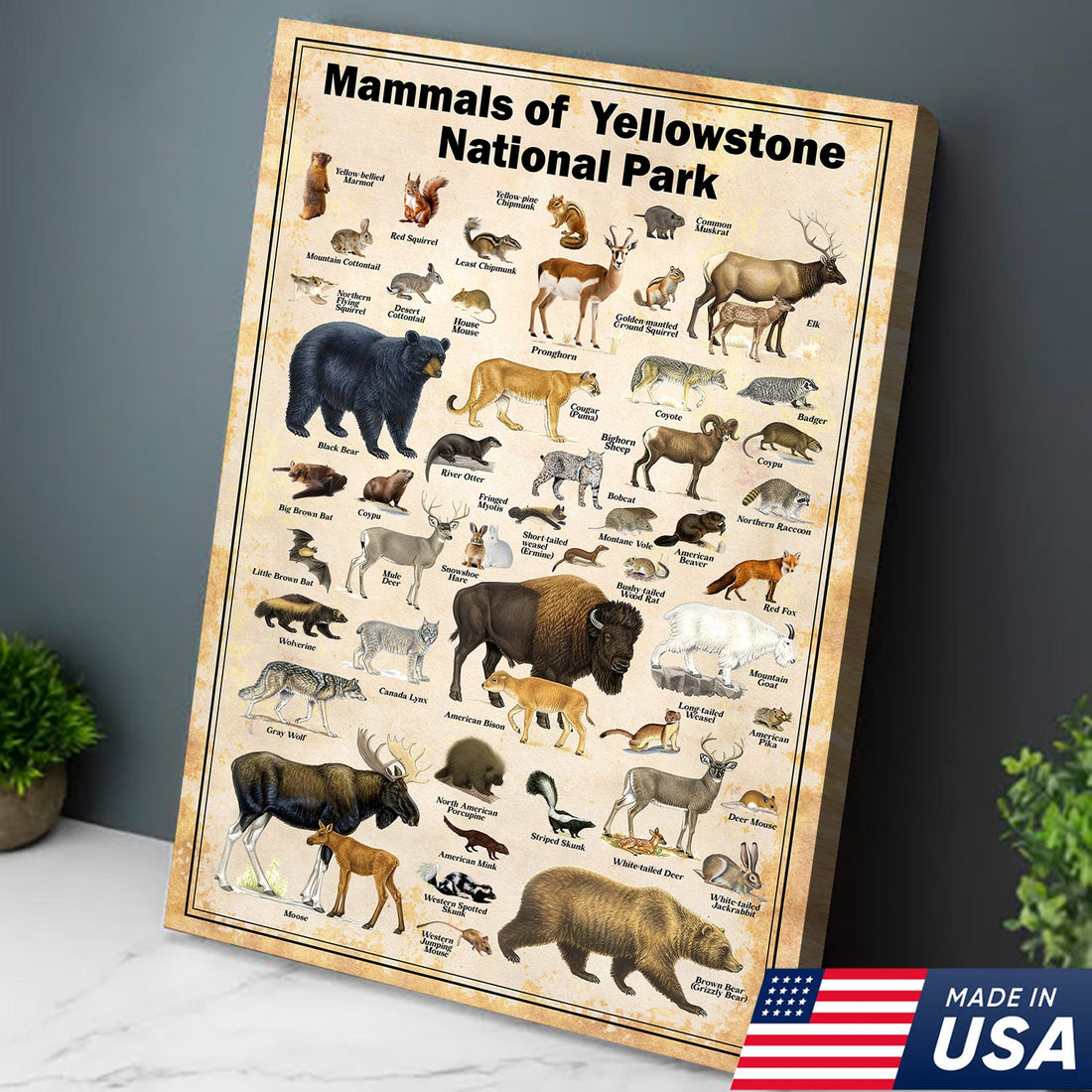Mammals of Yellowstone National Park Poster – Wildlife Wall Art for Nature Lovers, Hunters & Kids