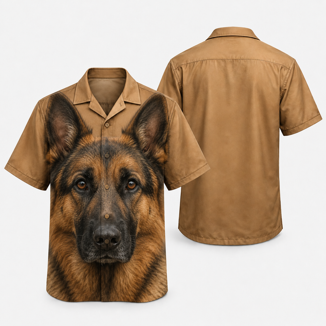 GENERAL:1.jpg