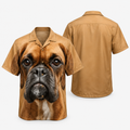 GENERAL:6bfac459-7996-4b37-a799-2c251e2f2e49-46jzt7.png