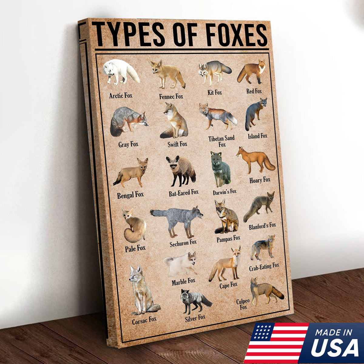 Types Of Foxes Species Wall Art Canvas - Wildlife Educational Canvas ...