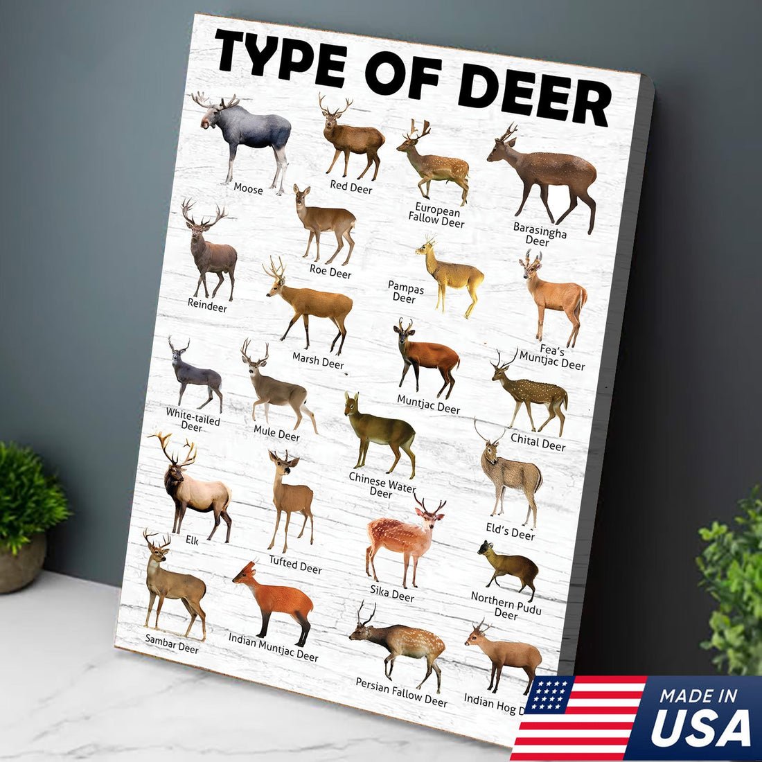 Deer Species Wall Art - Wildlife Educational Canvas - Hunting Lodge Decoration