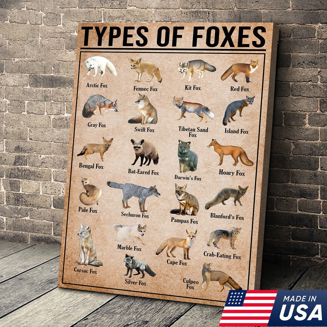 Types Of Foxes Species Wall Art Canvas - Wildlife Educational Canvas - Hunting Lodge Decoration