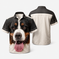 GENERAL:bfceb2ce-cb6d-42a2-88f5-8d34a41ceaa3-v46ev7.png