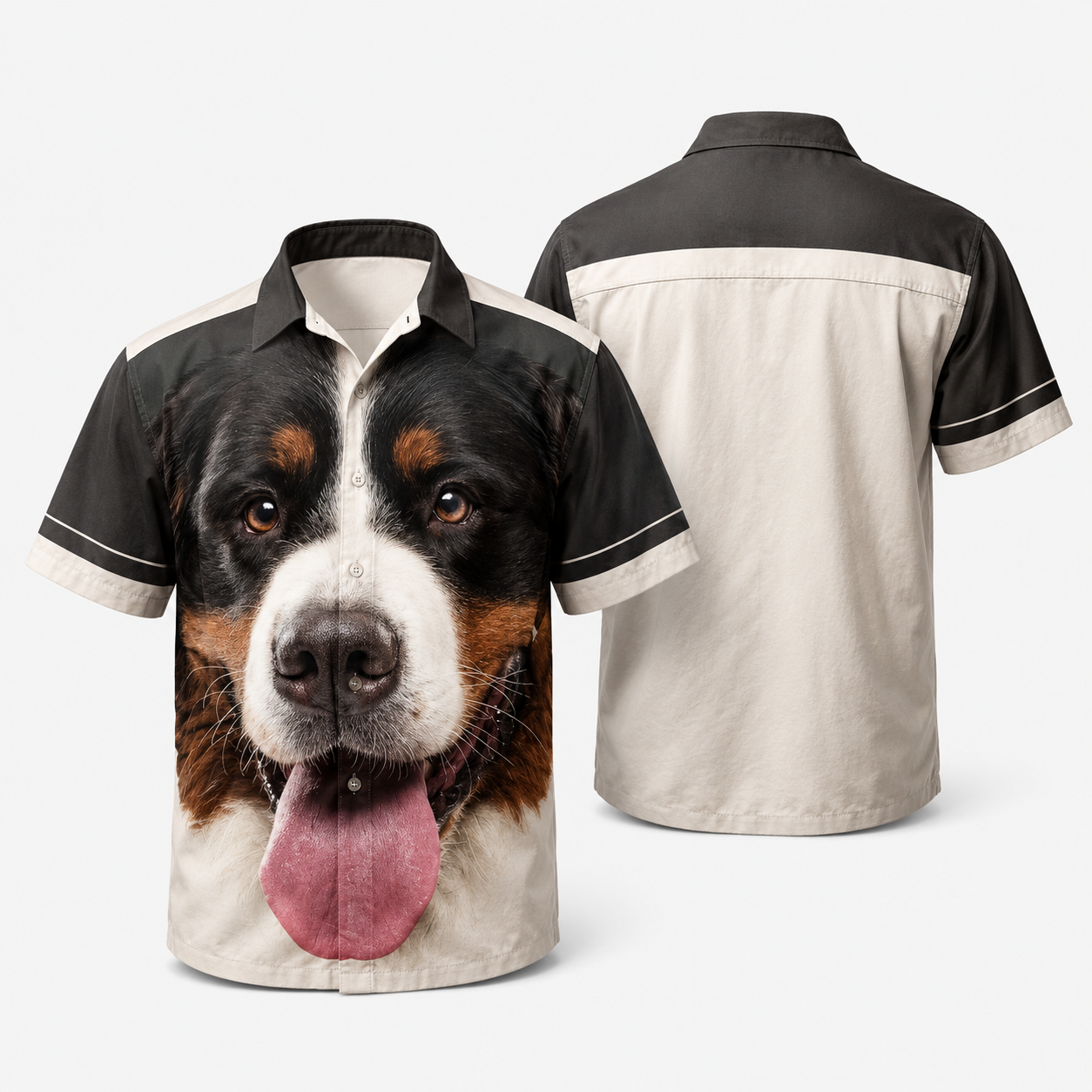 GENERAL:bfceb2ce-cb6d-42a2-88f5-8d34a41ceaa3-v46ev7.png