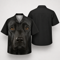GENERAL:e0308af3-11fd-45d4-a8dc-6dbc3dd6898c-8qrthc.png